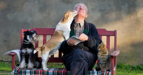 Pet therapy: perché il contatto con gli animali permette di guarire più in fretta
