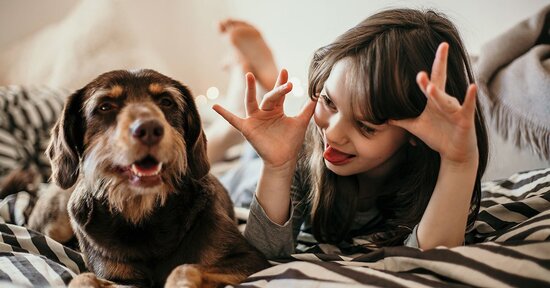 Pet therapy