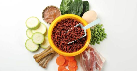 Guida per leggere le etichette degli alimenti per animali (ed evitare quelli che gli fanno male)