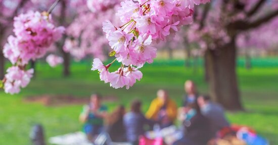 Pasquetta: 3 ricette per il picnic