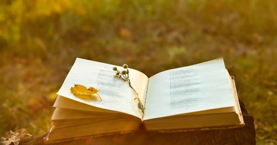 Poesia: perché fa bene alla salute?
