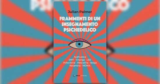 Prefazione - Frammenti di un Insegnamento Psichedelico - Libro di Julian Palmer