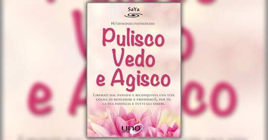 Premessa - Pulisco, Vedo e Agisco - Libro di SaYa