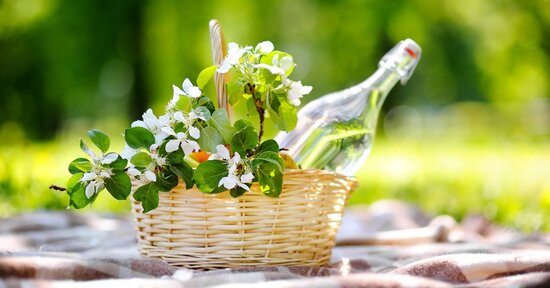 Prepararsi alla primavera: aiutiamo il fegato con l’alimentazione