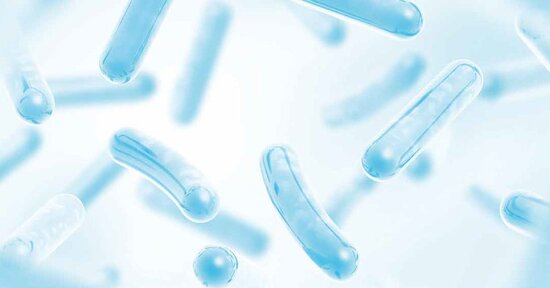 Probiotici e prebiotici