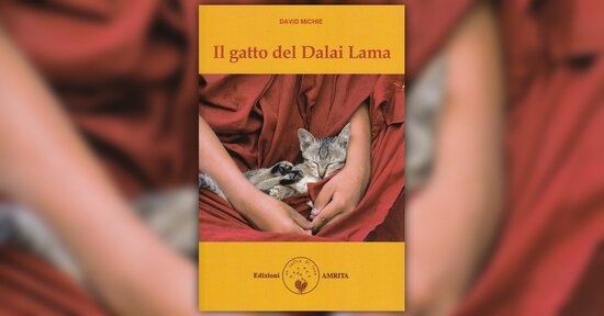 Prologo del libro "Il Gatto del Dalai Lama" di David Michie
