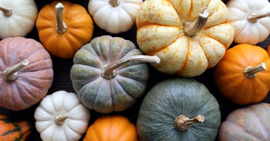 Proprietà, tipologie e usi della Zucca