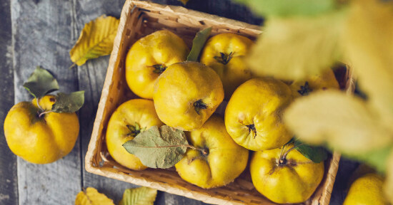Orto in inverno: consigli pratici anche per chi coltiva in giardino e sul balcone