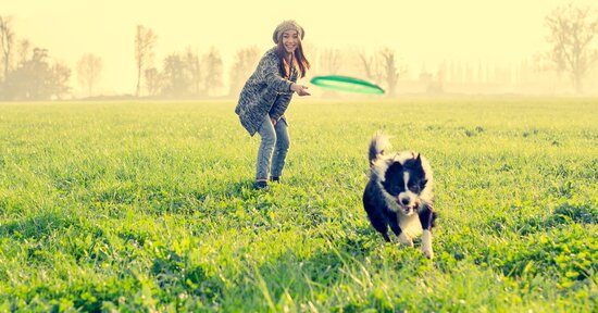 Quanto è importante far giocare il tuo cane?