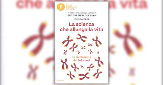 Racconto di due telomeri - Estratto da "La Scienza che Allunga la Vita"