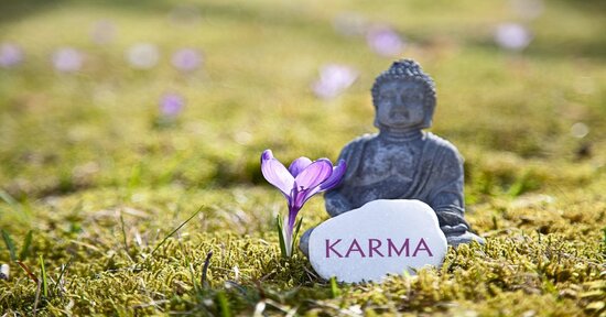 Reincarnazione e karma