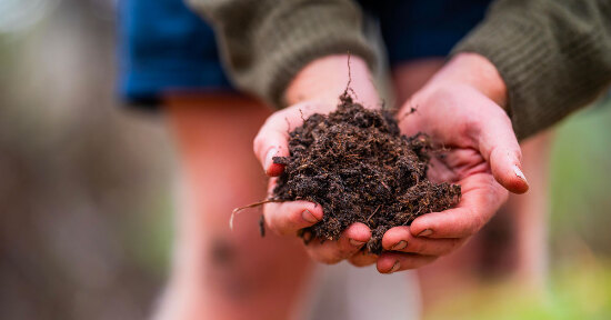 Rigenerare  l’Agricoltura