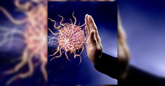 Rinforza il tuo sistema immunitario con la micoterapia