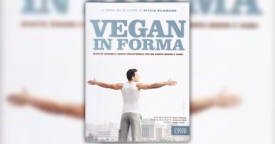 Sandwich per la vita frenetica - Estratto dal libro "Vegan in Forma"