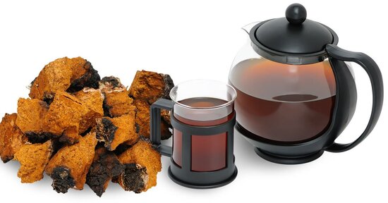 Scopriamo Chaga, il fungo della salute