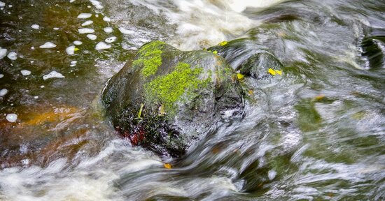 Sei troppo rigido? Prova Rock Water!