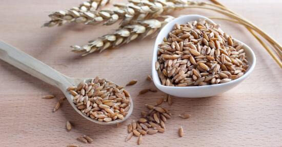 3 ricette con la farina di farro monococco