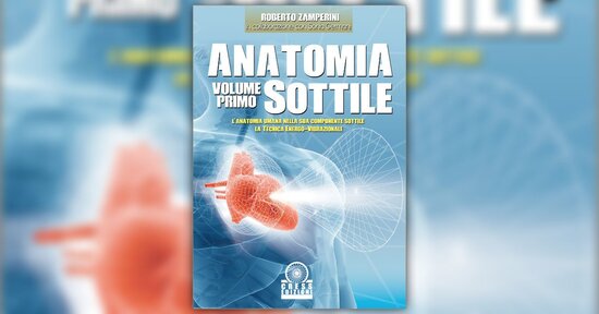 Siamo fatti solo di materia? - Estratto da "Anatomia Sottile - Volume 1"