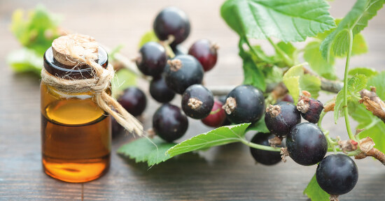 I 7 estratti naturali che combattono l'insonnia