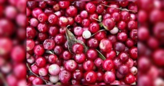 Succo di Cranberry Salugea