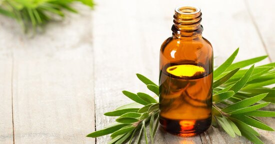 Tea tree oil: tutti gli usi!