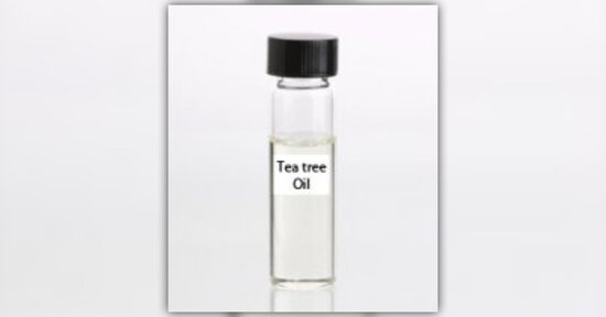 Tea tree oil: uso e benefici