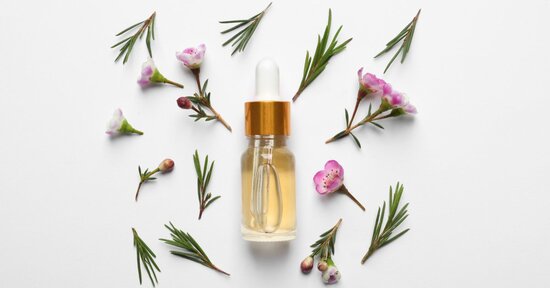 Tea Tree oil: il più potente antibatterico naturale