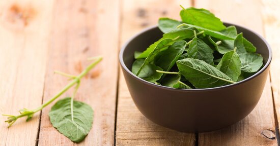 Le proprietà del Tulsi, il Basilico Santo dell'India