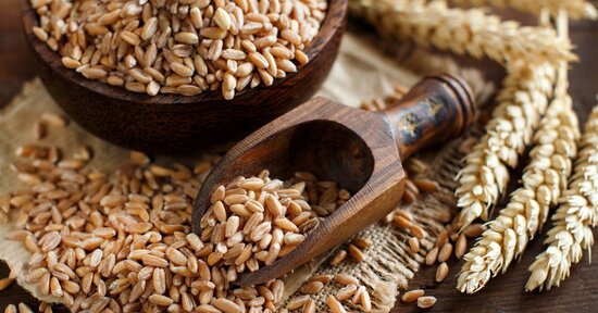 Un antico cereale: il farro