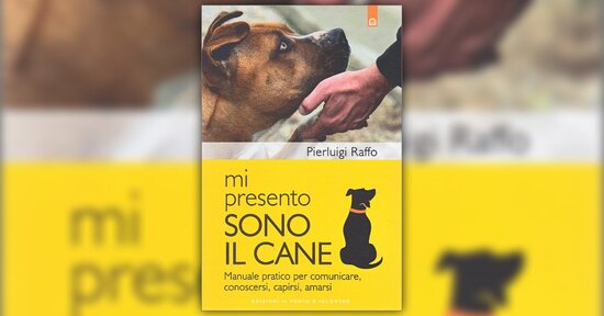 Un fedele compagno di viaggio - Estratto da "Mi Presento, Sono il Cane"
