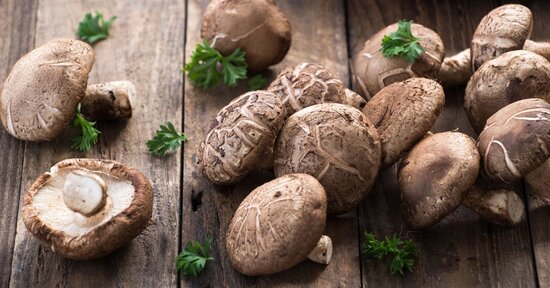 Un fungo speciale: lo shiitake