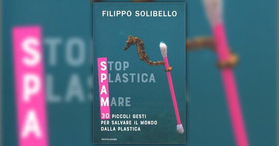 Un mondo di plastica
