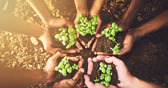 Un nuovo patto per l'alimentazione naturale
