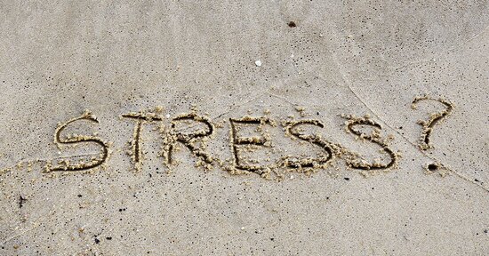 Un rimedio naturale per lo stress