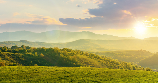 Una nuova agricoltura contadina