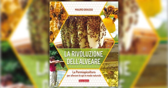Una strada in salita - Estratto da "La Rivoluzione dell'Alveare"