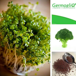 Germogli di Broccolo - Coltivali in casa con il germogliatore