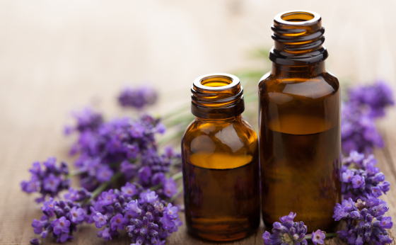 Lavanda