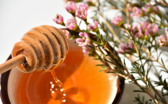 Manuka