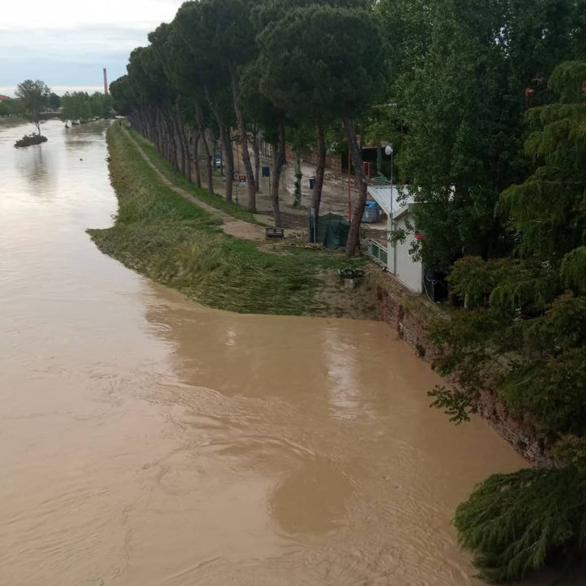 Fiume Savio (Cesena)