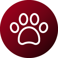 immagine libro del cuore