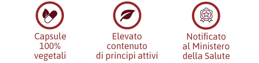 energea-dettagli-del-prodotto