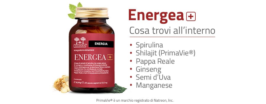 energea-ingredienti
