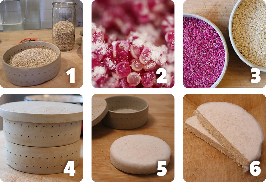 6 step per produrre Tempeh di quinoa