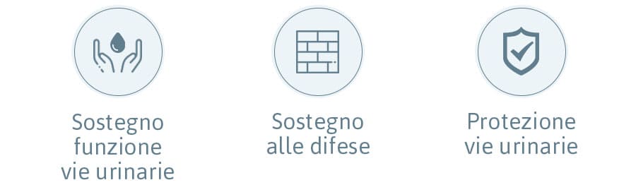 sanuril-formula-potenziata-benefici-e-proprietà