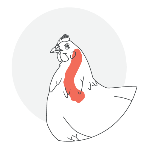 collo di pollo