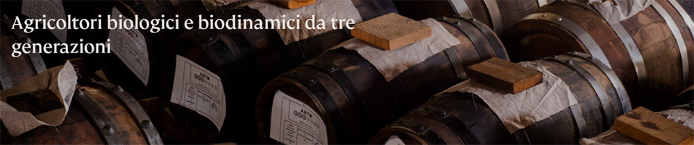 guerzoni