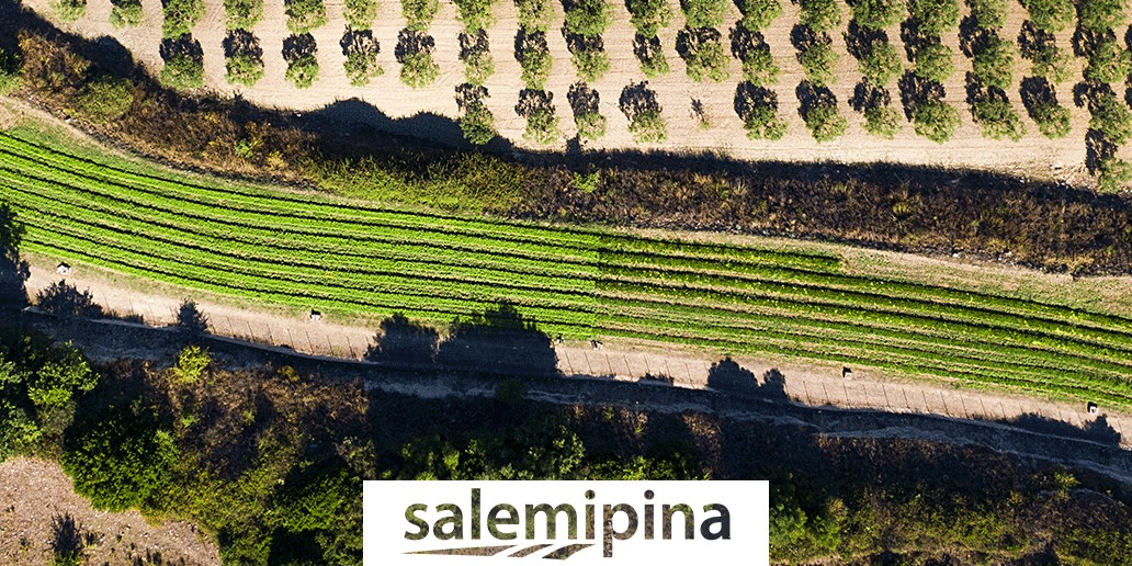 salemipina