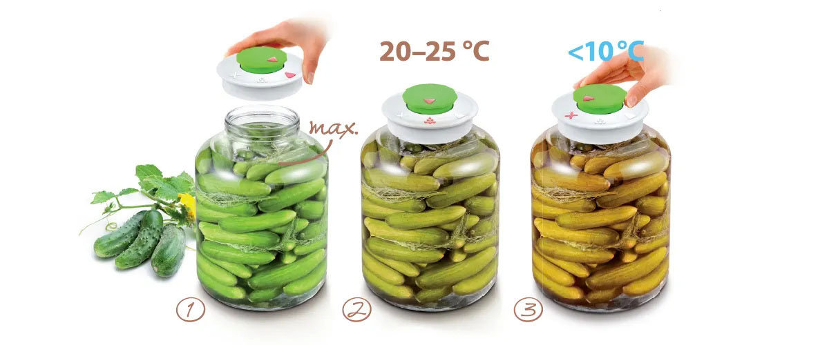 come-preparare-verdure-fermentate