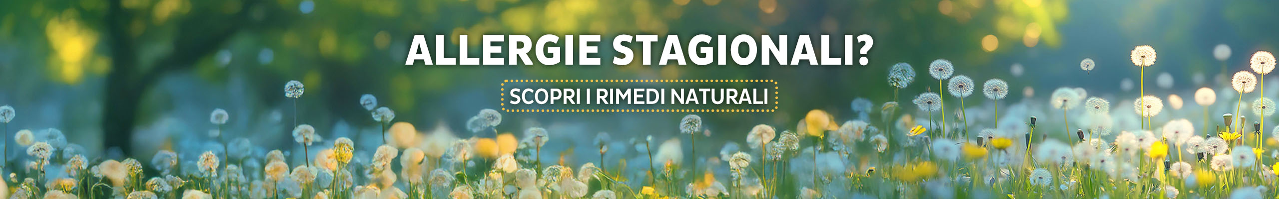 Scopri i rimedi naturali per l'allergia stagionale
